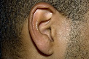 individuals who lack both copies of the good gene can lose their hearing from the age of 20.