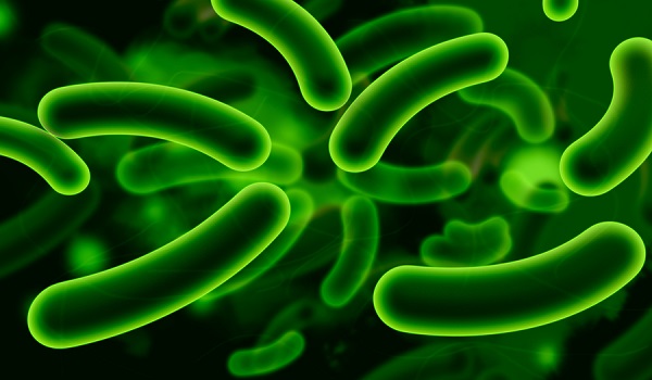 The researchers found the diarrhoea-causing bacteria use a needle-like structure to inject a toxin into the gut cell that blocks cell death, allowing the bacteria to survive and spread in the gut – causing a range of diseases.