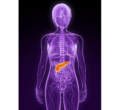 Pancreatic cancer is the fourth-leading cause of cancer death in western societies.
