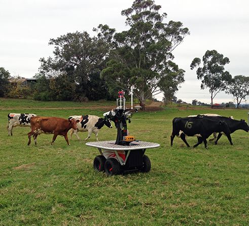 Professor Salah Sukkarieh says robots like 'Shrimp' can increase efficiency and yield by performing many of the manual tasks of farming. (Image: Sydney University)