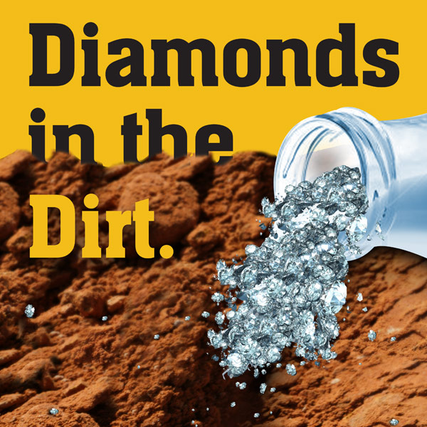 Diamonds in the dirt
