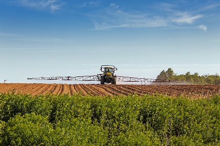 AUSVEG plays a "vital role" for potato producers.