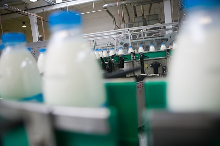 A new hub will find solutions and opportunities for the dairy industry through collaboration.