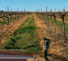 A prototype model of the robotic car being tested at a winery in Orange, NSW. (Image: UNSW)