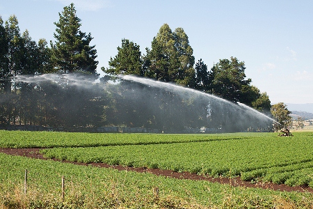 Turning saline groundwater into fresh water could help agricultural irrigation.