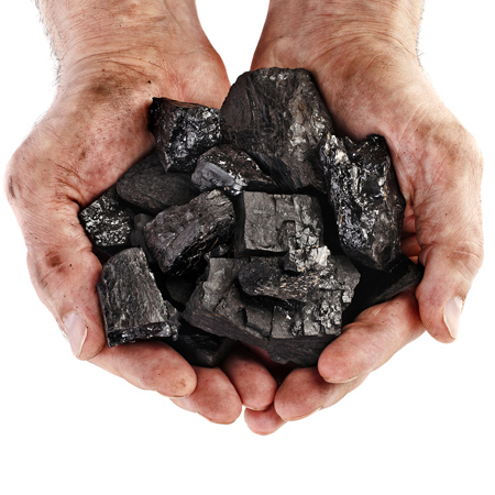 Coal is Australia's second largest export earner, valued at $40 billion and employs over 40,000 people directly and a total of 150,000 including related jobs. 