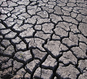 Lower water application intensity will give soil cracks time to close. Credit: Wikimedia Commons