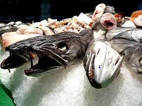 Safety concerns for fish wholesalers are under discussion.