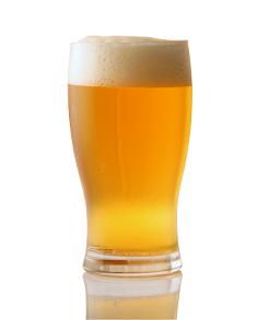 Study finds beer is a rich source of silicon, may help prevent osteoporosis.