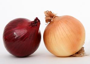 Sweet onions have lower acid and higher sugarlevels than other onions.