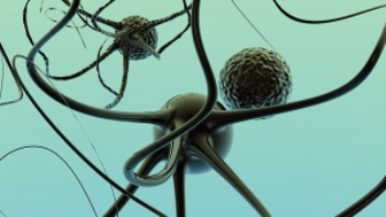 A photo of an active neuron cell.