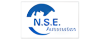 N.S.E Automation Co. Ltd