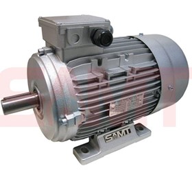 IEC Standard Motor - Low Voltage (LV)