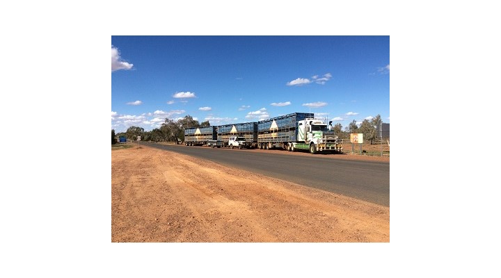 The Shorts’ rig dwarfed by an Outback Road Train, of a type that frequently uses the same type of airbag suspension