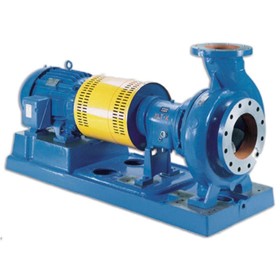 Centrifugal Process Pump 3196-i-Frame