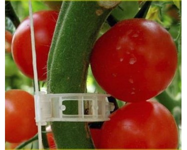 Tomato Support Clips | Hi-Q Components