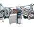 Biesse - Double Edging Grinding Machines and Systems | Busetti P Series