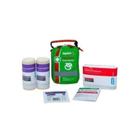 Snake Bite First Aid Kit | First Aid Guide