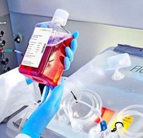 General Cell Culture Media and Buffers for Medical Use