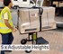 Demtruk - Folding Cart | DELUX 2.0 with 220 kg Capacity