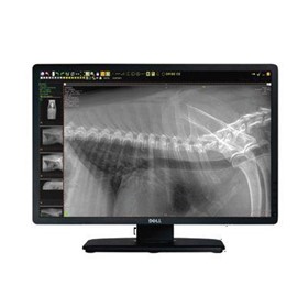 Veterinary DR X-Ray Systems | FPW Wireless DR System