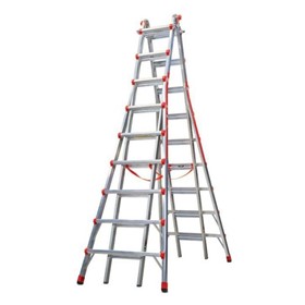 Telescopic Access Ladder Model 17 | Skyscraper