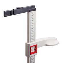 Height & Weight Scale