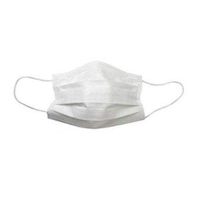 Face Mask 2 Ply