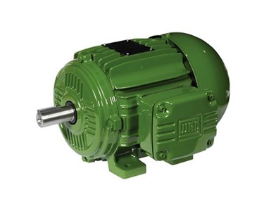 IEC Two Speed motors from Chain & Drives Australia