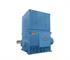 WEG Electric Motor | Low and High Voltage Machine