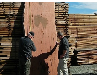 DAR Timber & Timber Slabs