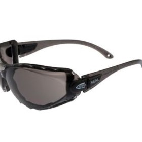 Safety Glasses | Seal 125