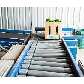 Adept Roller Conveyor for Crops