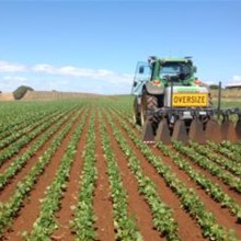 Agricultural Sprayer