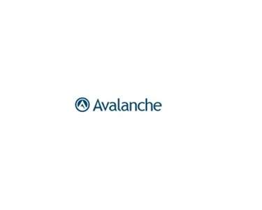 Wavelink - Mobile Device Management | Avalanche