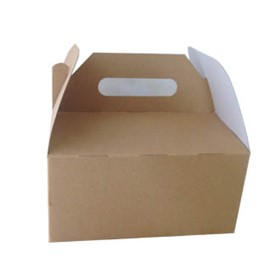 Brown Kraft Take Away Box | Food Packaging