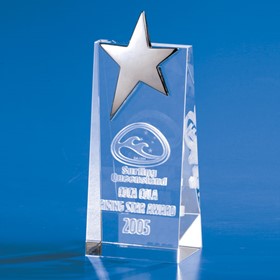 3D Crystal Star Wedge Trophy | IMA3DSTW17