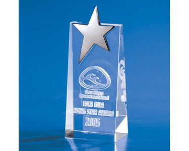 3D Crystal Star Wedge Trophy | IMA3DSTW17