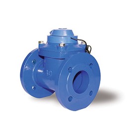 Flanged Water Meter | OMEGA