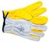 Economy Utility Leather Gloves | AP4147