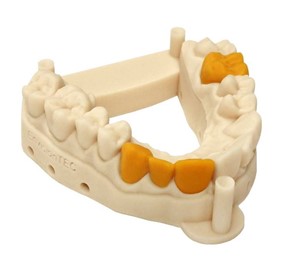 Dental Resins