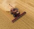 Combine Harvester 2100 RPM | Axial-Flow 250 Series 