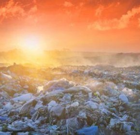 How To Reduce Your Daily Carbon Footprint How To Reduce Your Daily Carbon Footprint