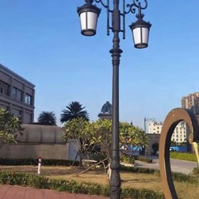 Street Light | DHB-1014 | Kasesware Lighting