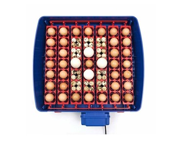 Borotto - REAL PLUS Automatic 49 Egg Incubator