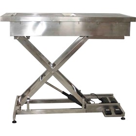 Electric Veterinary Lifting Preparation Table