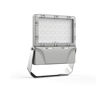 EarthLight - HA Range Explosion Proof Flood Light