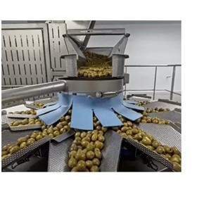 Packaging Line | Advanced Solution For Olives Line 