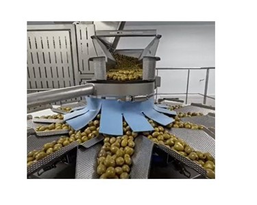 Mondini - Packaging Line | Advanced Solution For Olives Line 