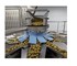 Mondini - Packaging Line | Advanced Solution For Olives Line 